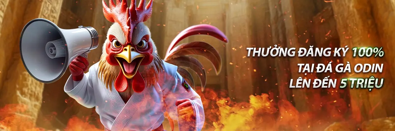 Hình ảnh Điều khoản Dịch vụ kv999 win