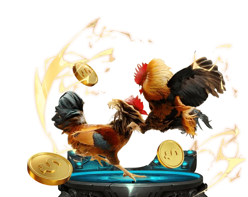 Hoàn trả cá cược thể thao kv999 win